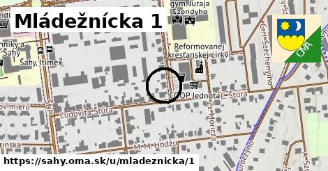 Mládežnícka 1, Šahy