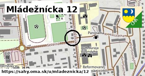 Mládežnícka 12, Šahy