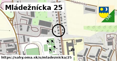 Mládežnícka 25, Šahy