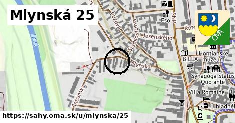 Mlynská 25, Šahy