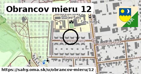 Obrancov mieru 12, Šahy
