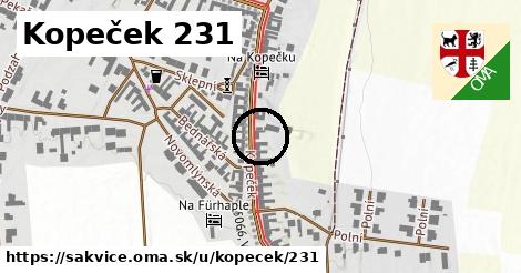 Kopeček 231, Šakvice