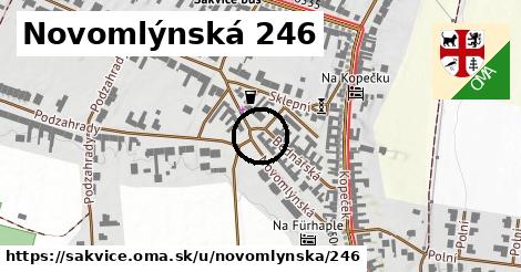 Novomlýnská 246, Šakvice