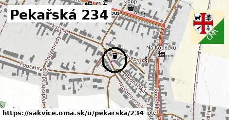 Pekařská 234, Šakvice