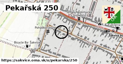 Pekařská 250, Šakvice