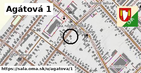 Agátová 1, Šaľa