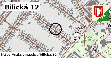 Bilická 12, Šaľa