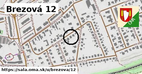 Brezová 12, Šaľa