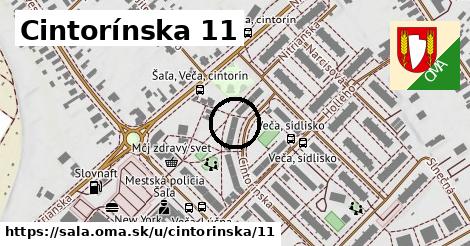 Cintorínska 11, Šaľa