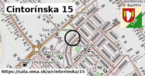 Cintorínska 15, Šaľa