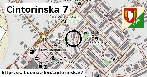 Cintorínska 7, Šaľa