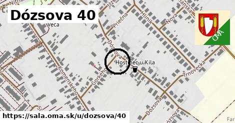 Dózsova 40, Šaľa