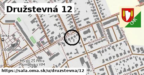 Družstevná 12, Šaľa