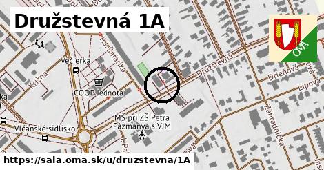 Družstevná 1A, Šaľa