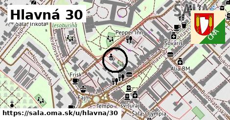 Hlavná 30, Šaľa