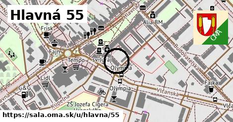 Hlavná 55, Šaľa