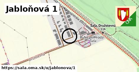 Jabloňová 1, Šaľa