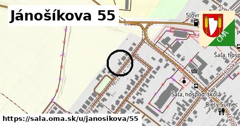 Jánošíkova 55, Šaľa