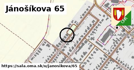 Jánošíkova 65, Šaľa