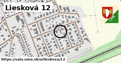 Liesková 12, Šaľa