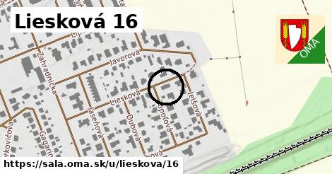 Liesková 16, Šaľa