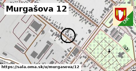 Murgašova 12, Šaľa