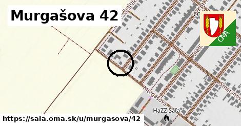 Murgašova 42, Šaľa