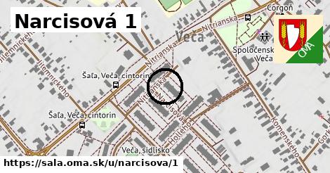 Narcisová 1, Šaľa