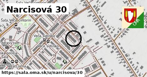 Narcisová 30, Šaľa