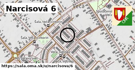 Narcisová 6, Šaľa