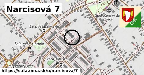 Narcisová 7, Šaľa