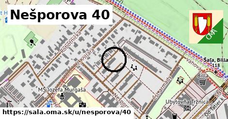 Nešporova 40, Šaľa