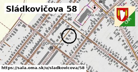 Sládkovičova 58, Šaľa