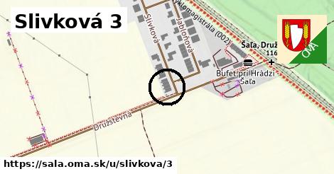 Slivková 3, Šaľa