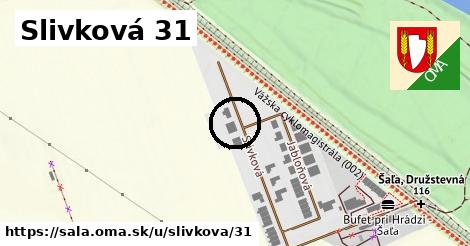 Slivková 31, Šaľa