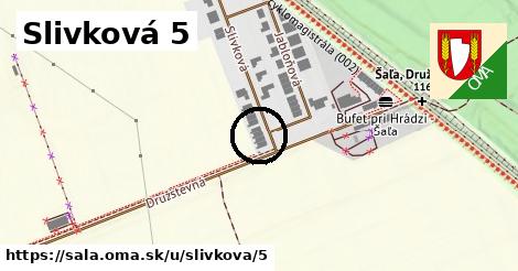 Slivková 5, Šaľa