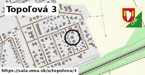 Topoľová 3, Šaľa