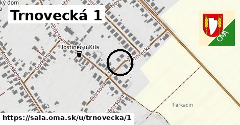 Trnovecká 1, Šaľa