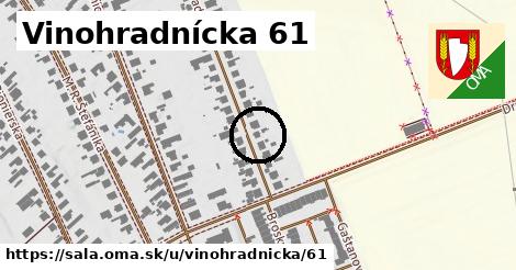 Vinohradnícka 61, Šaľa