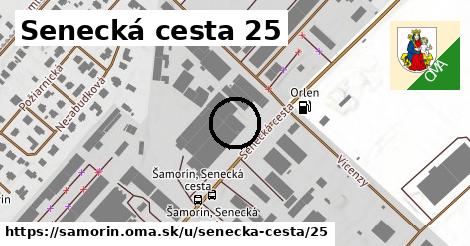 Senecká cesta 25, Šamorín