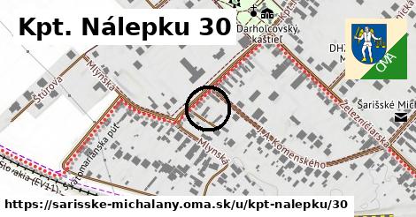 Kpt. Nálepku 30, Šarišské Michaľany