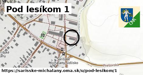 Pod lesíkom 1, Šarišské Michaľany