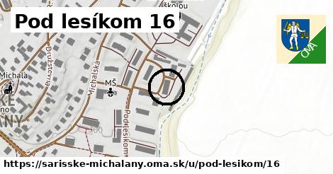 Pod lesíkom 16, Šarišské Michaľany