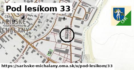 Pod lesíkom 33, Šarišské Michaľany