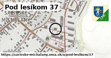 Pod lesíkom 37, Šarišské Michaľany