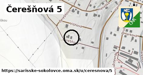 Čerešňová 5, Šarišské Sokolovce