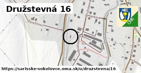 Družstevná 16, Šarišské Sokolovce