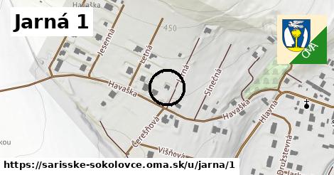 Jarná 1, Šarišské Sokolovce