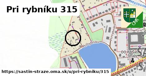 Pri rybníku 315, Šaštín-Stráže