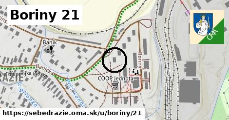 Boriny 21, Sebedražie